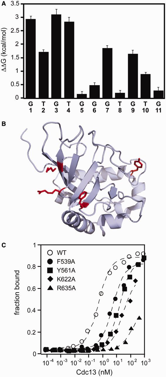 Figure 3.