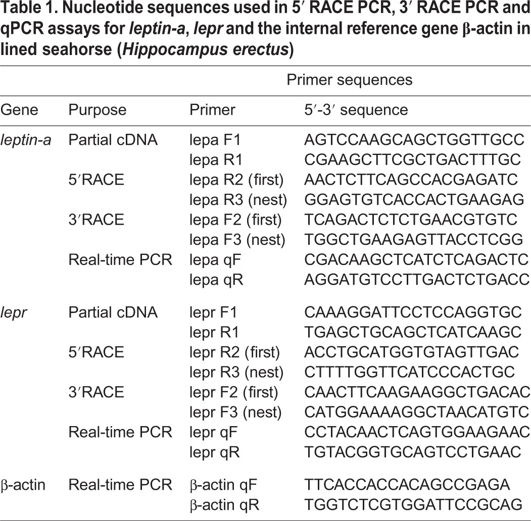 graphic file with name biolopen-5-020750-i1.jpg