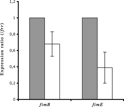 FIG. 5.