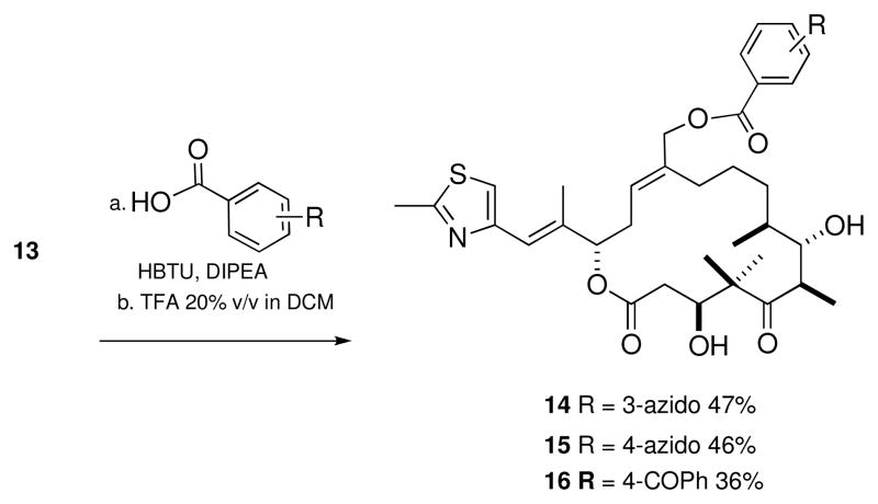 Scheme 4