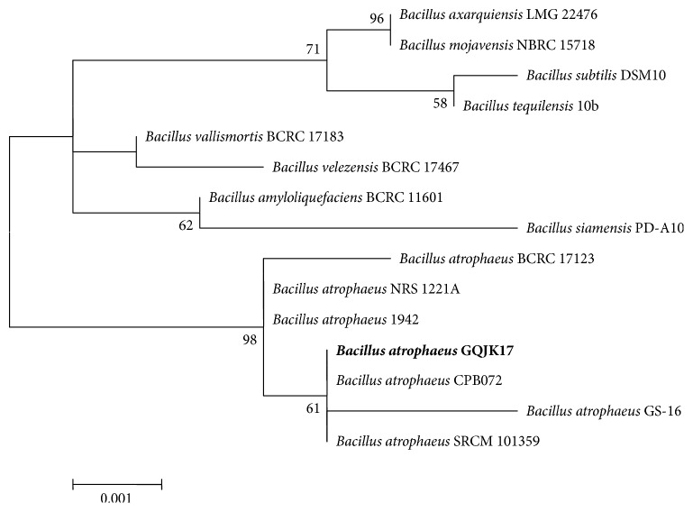 Figure 2