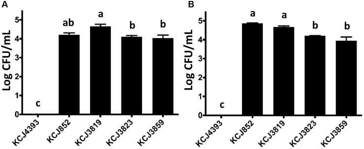 FIGURE 6