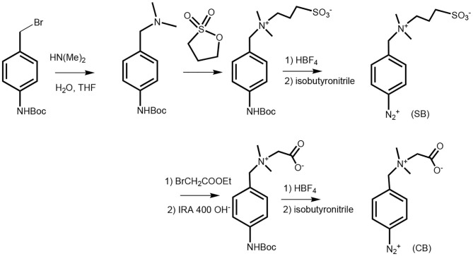 Scheme 1