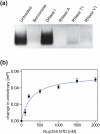 Fig. 8