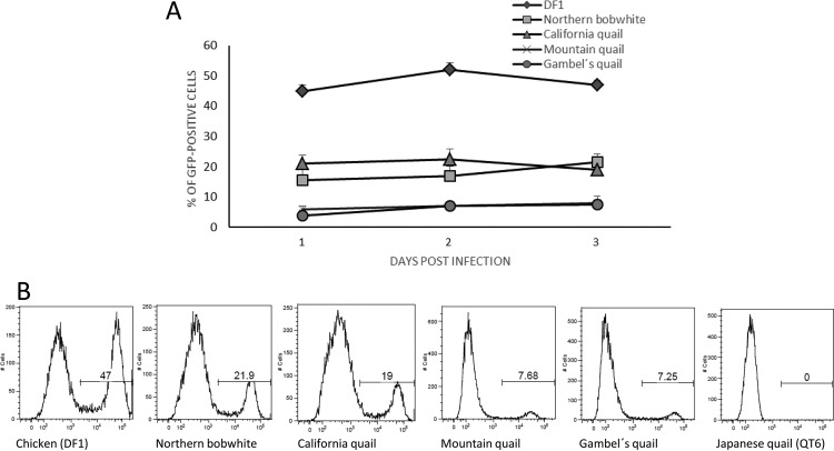 FIG 2