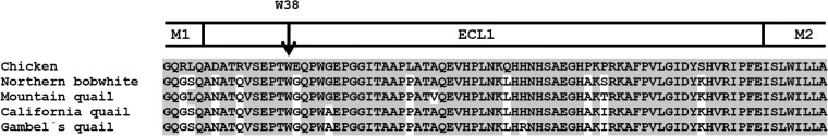 FIG 1