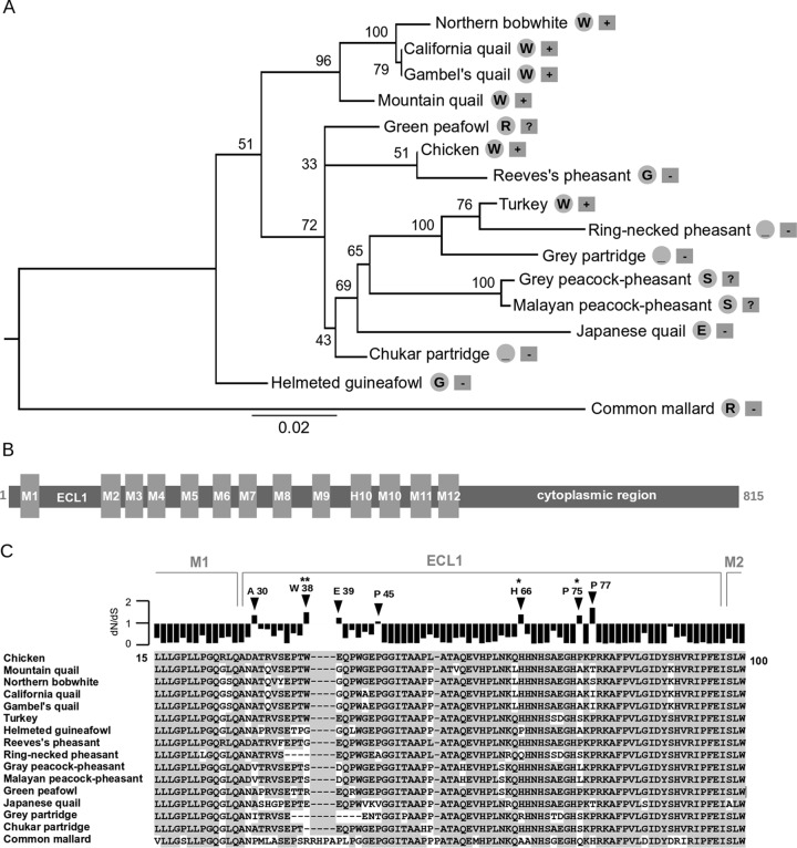 FIG 6