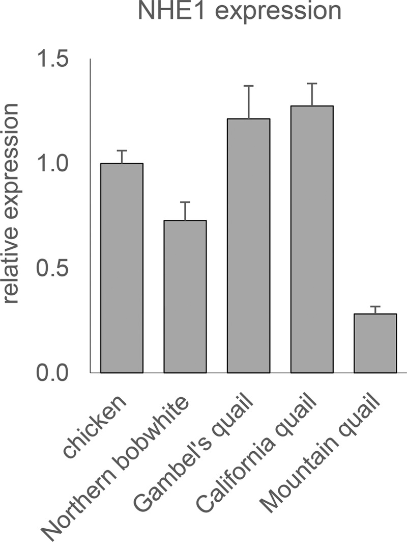 FIG 4