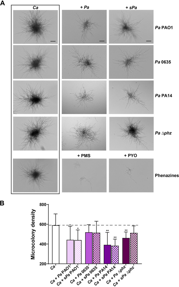 FIG 4