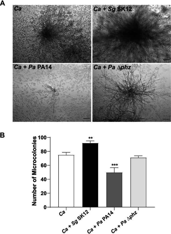 FIG 3