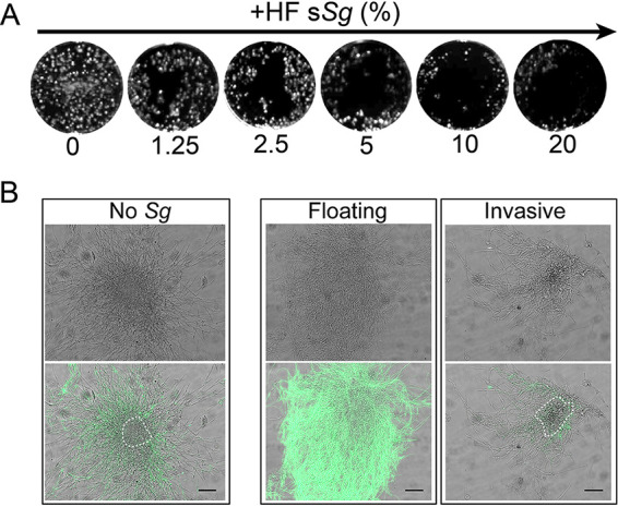 FIG 8