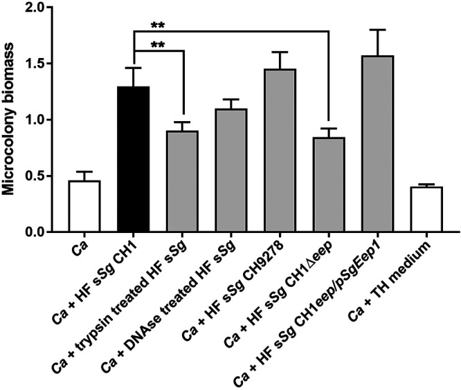 FIG 6