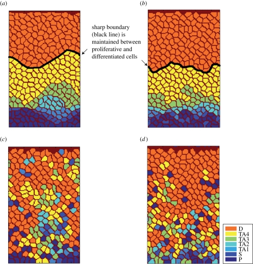 Figure 3.