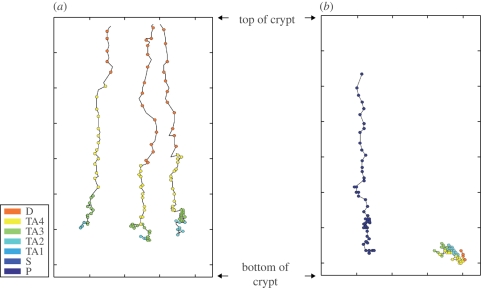 Figure 4.