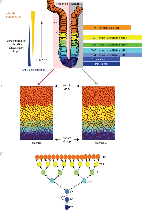 Figure 1.