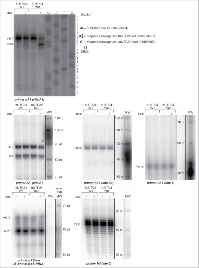 Figure 10.