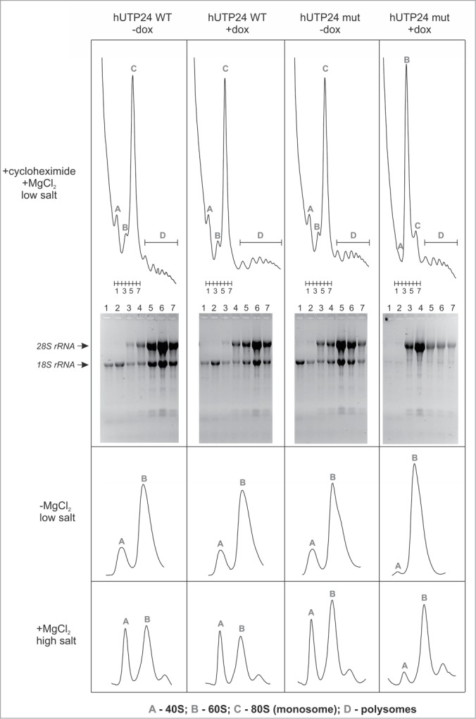 Figure 7.