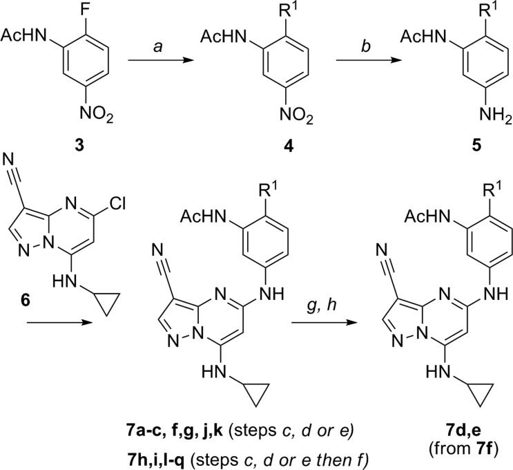 Scheme 1