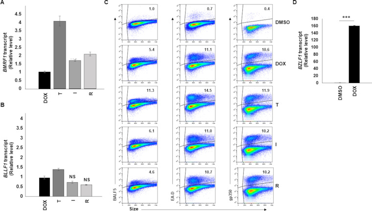 FIG 2