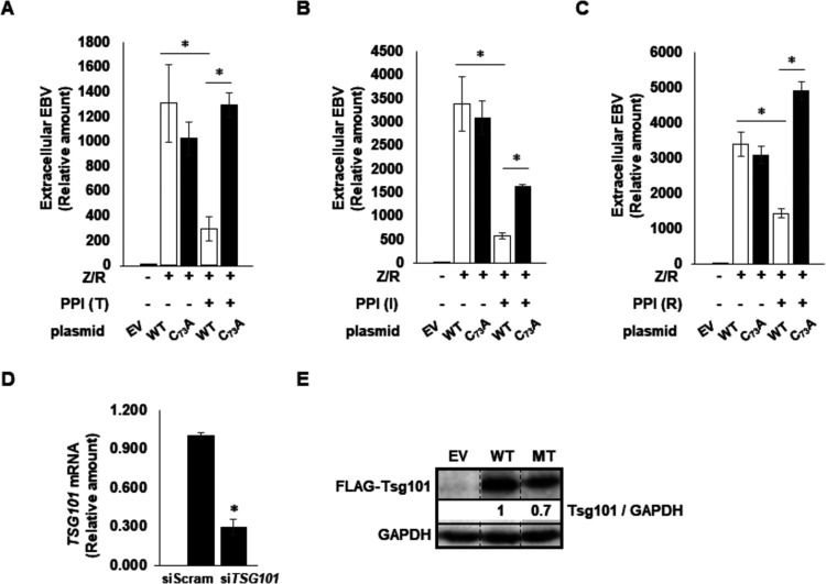 FIG 6