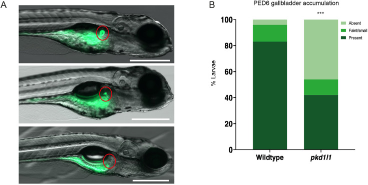 Fig. 3.