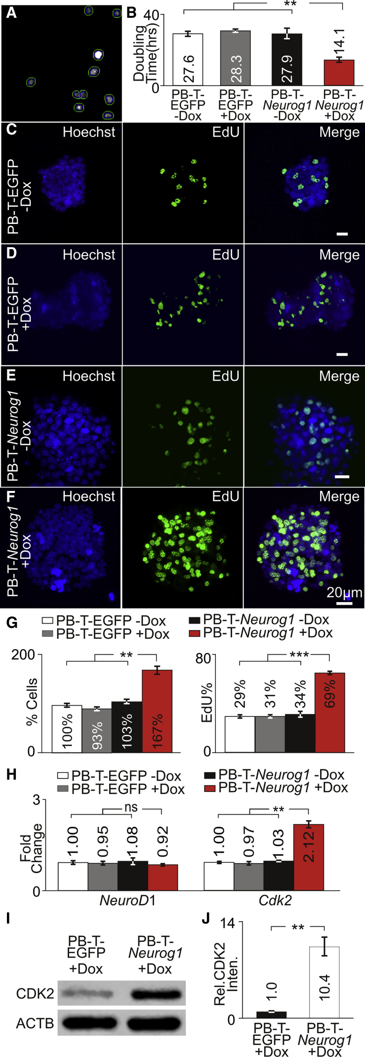 Figure 4