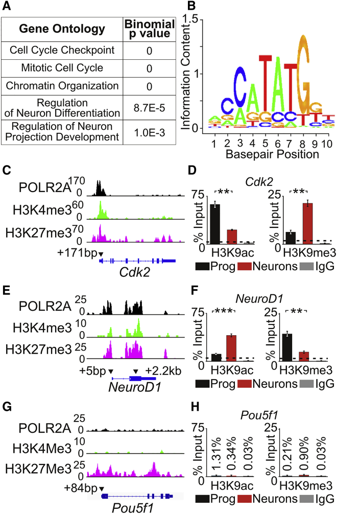 Figure 2