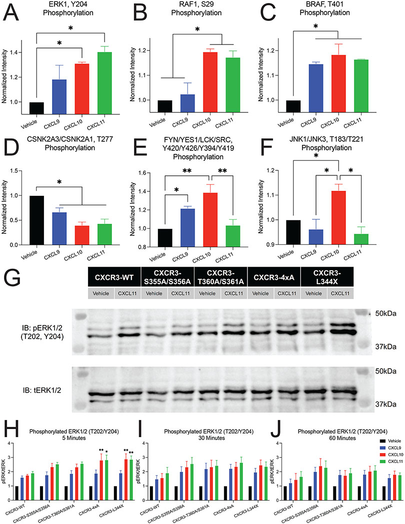 Figure 6: