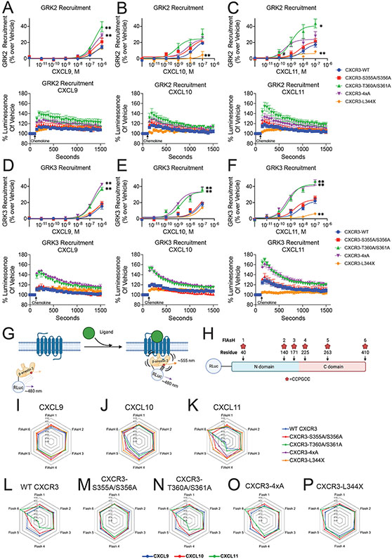 Figure 3: