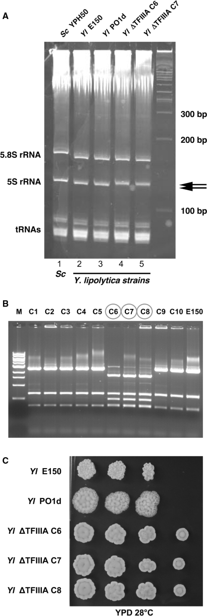 Figure 4.