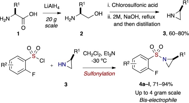 Scheme 1