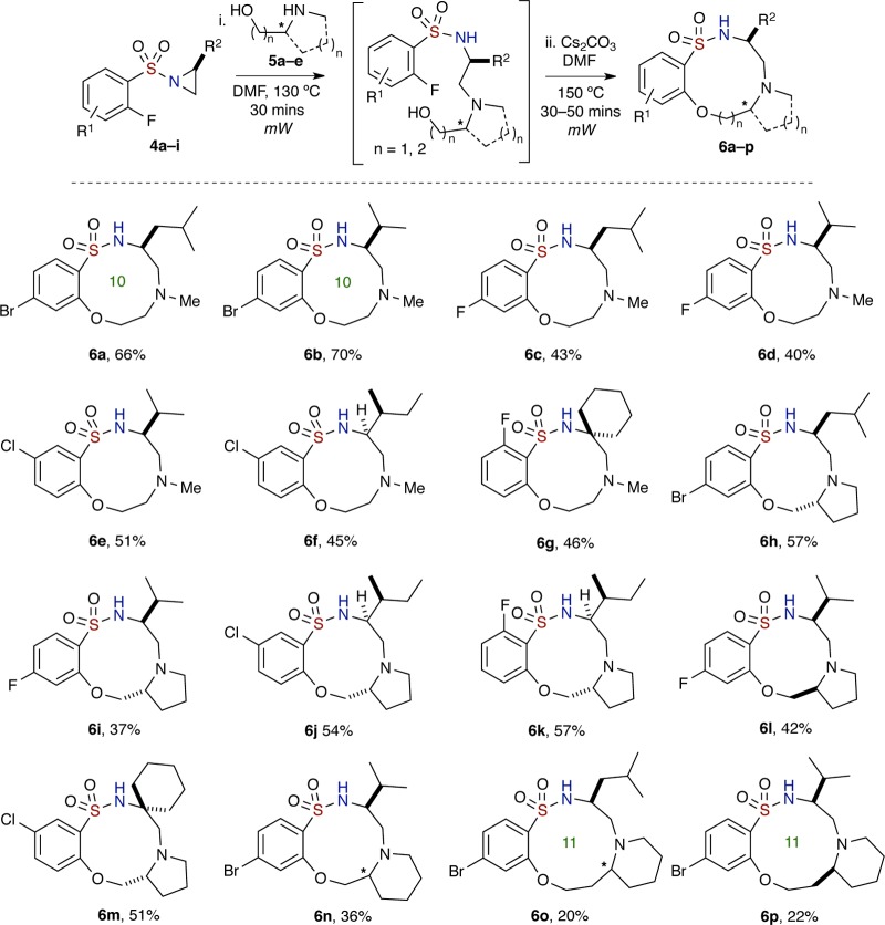 Scheme 2