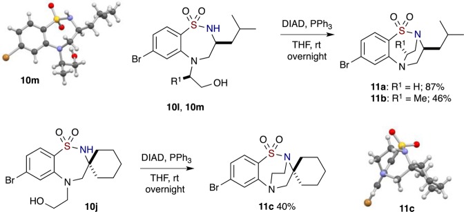 Scheme 5