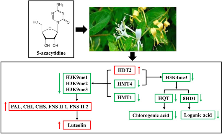 Fig. 6