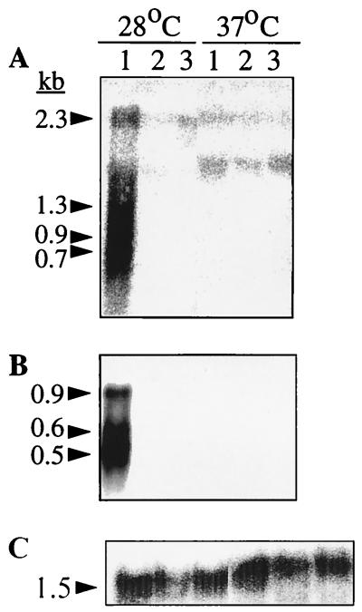 FIG. 8