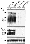 FIG. 6