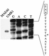 FIG. 5