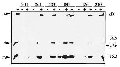 FIG. 7