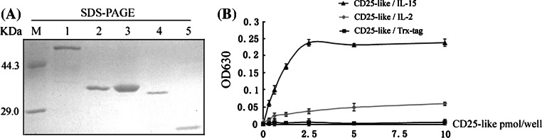 Fig. 2