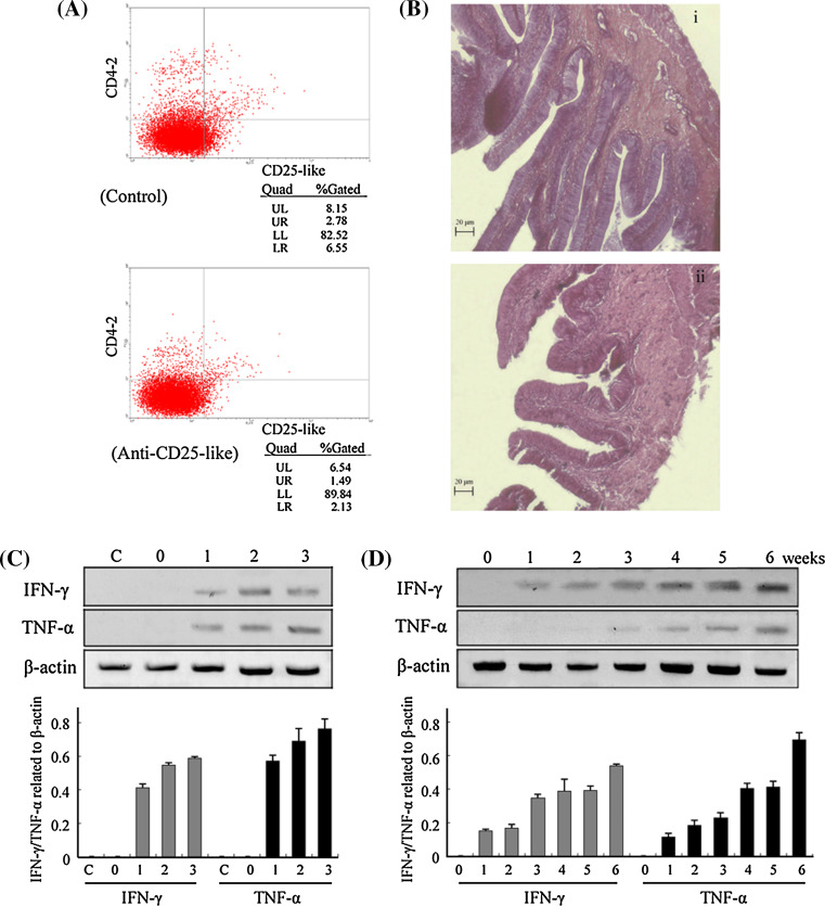 Fig. 6