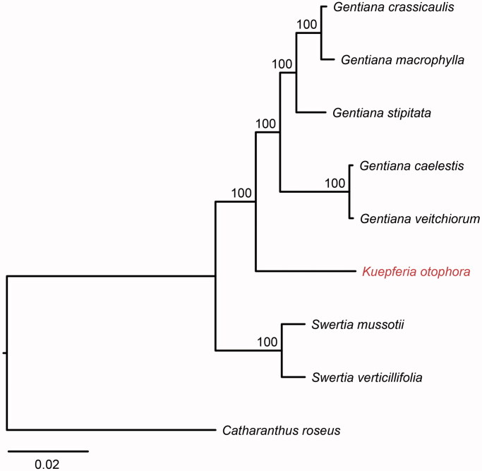 Figure 1.