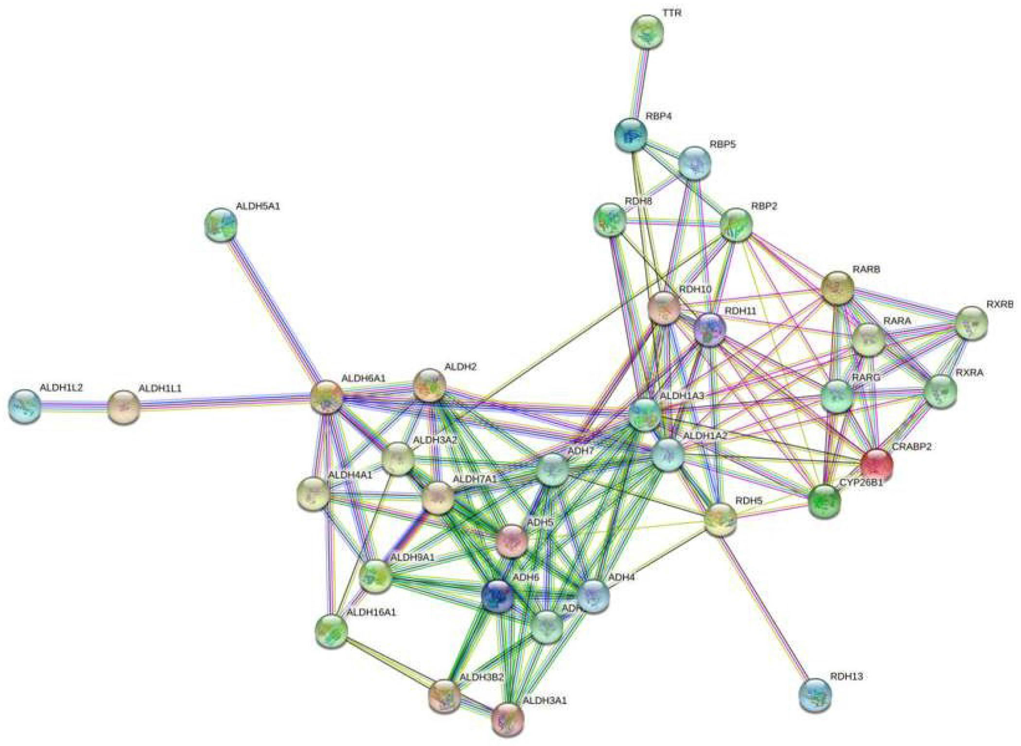 Figure 5: