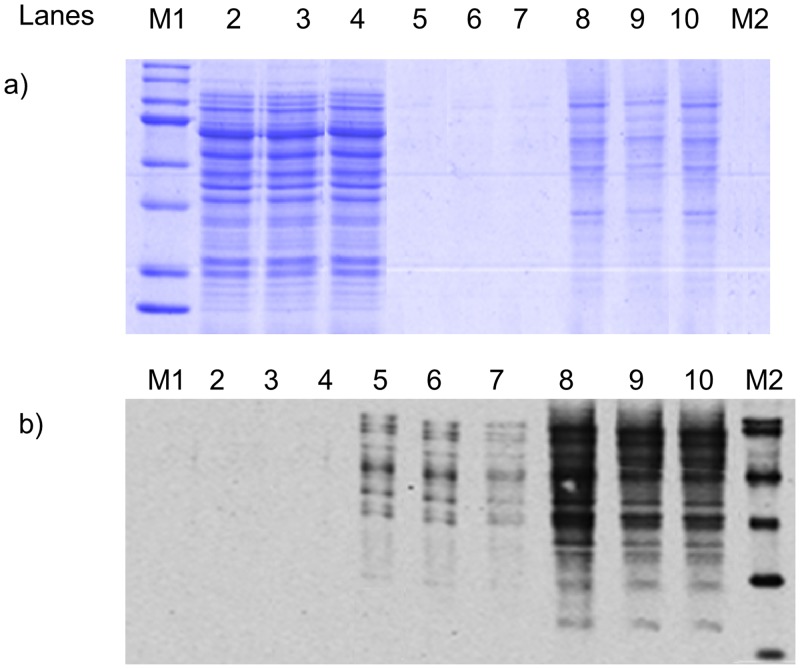 Fig 5