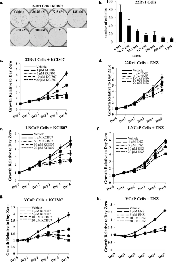 Figure 4: