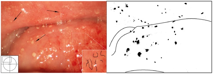 Figure 16