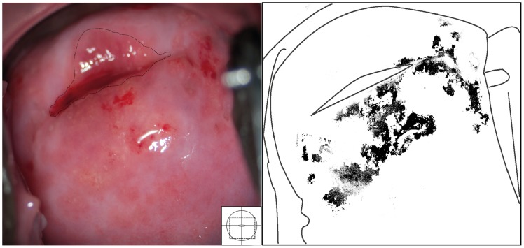 Figure 24