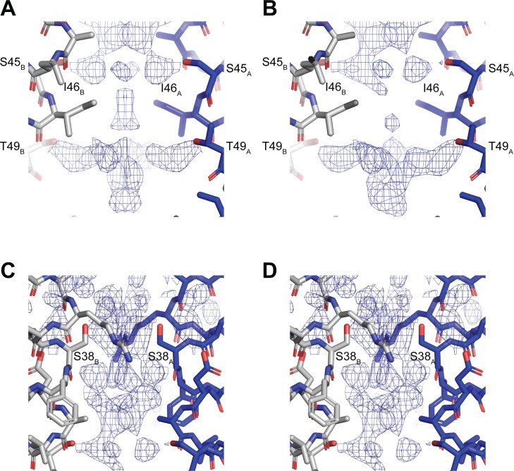 Figure 3—figure supplement 1.