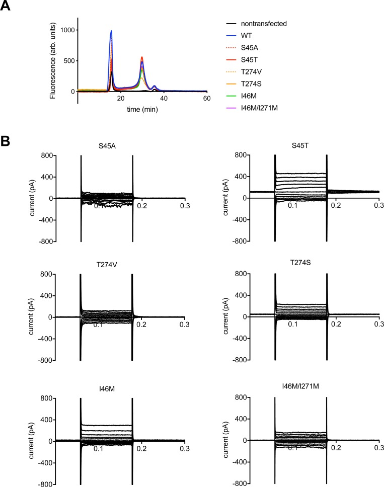 Figure 6—figure supplement 1.