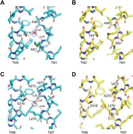 Figure 5—figure supplement 1.