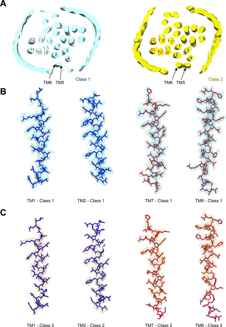 Figure 2—figure supplement 2.